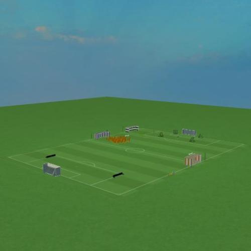 Arena Image