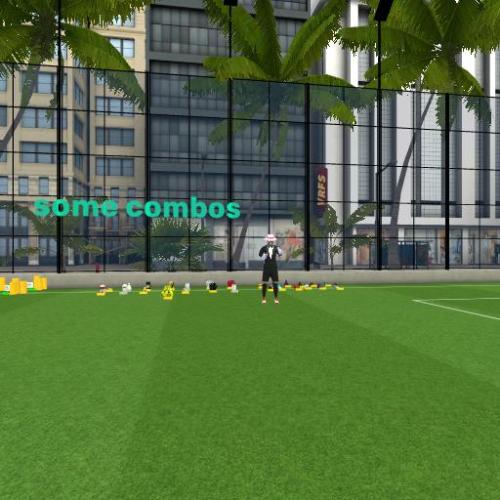 Arena Image
