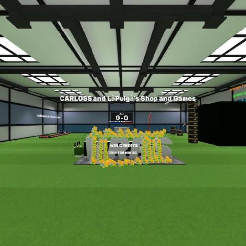 Arena Image