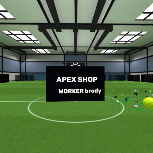 Arena Image