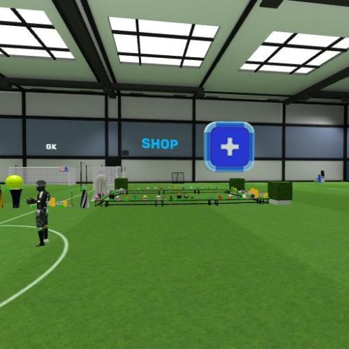 Arena Image