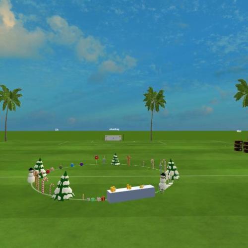 Arena Image