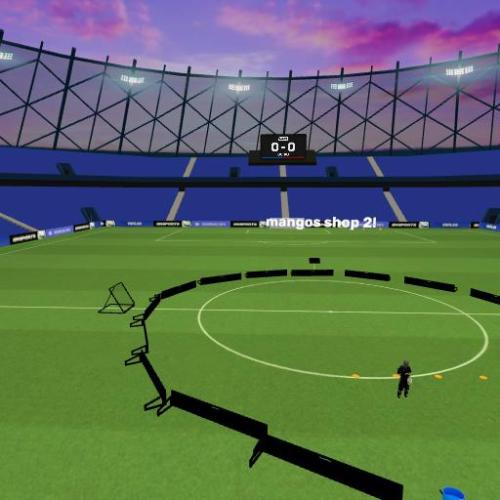 Arena Image