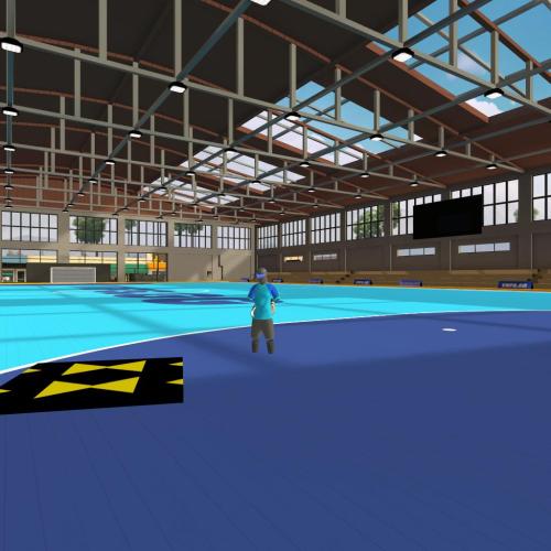 Arena Image