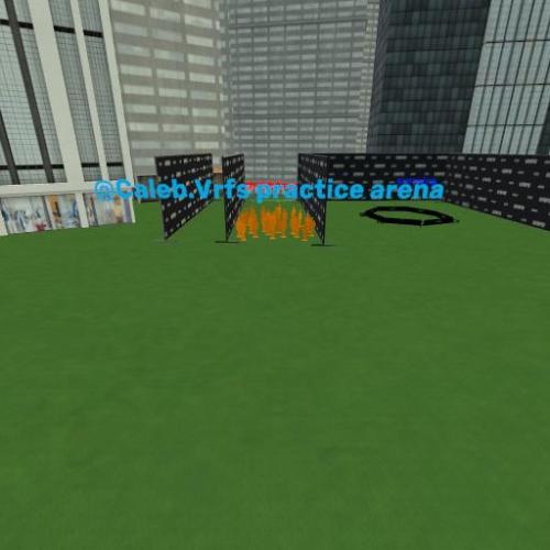 Arena Image