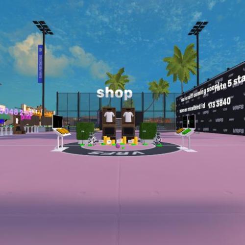 Arena Image