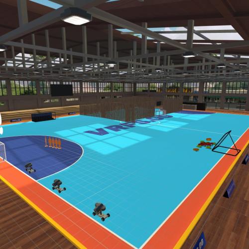 Arena Image