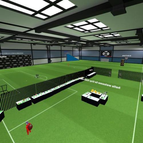 Arena Image
