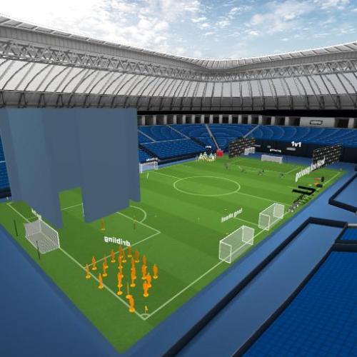Arena Image