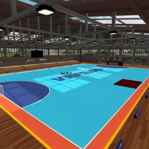 Arena Image