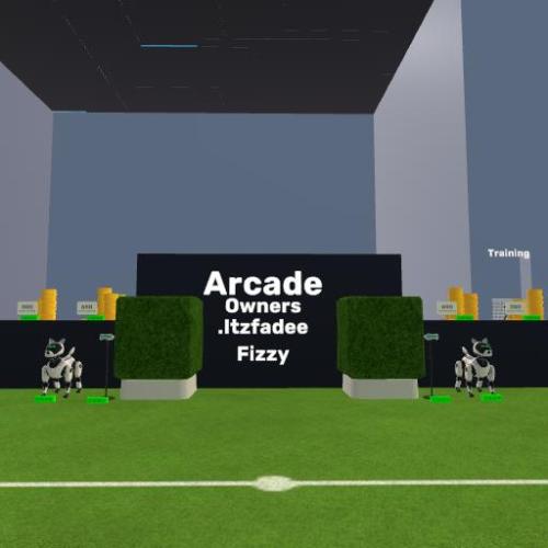 Arena Image