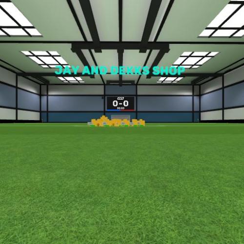 Arena Image