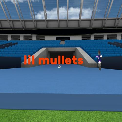 Arena Image