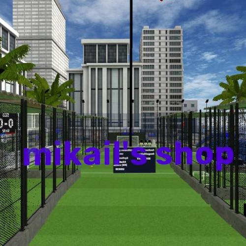 Arena Image