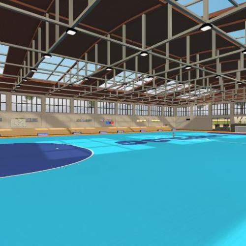 Arena Image