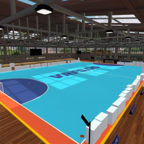 Arena Image