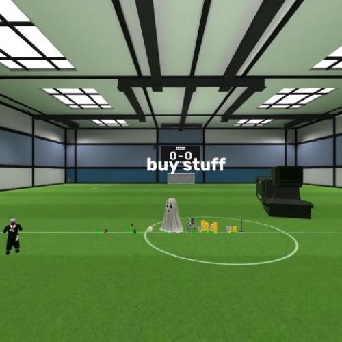 Arena Image
