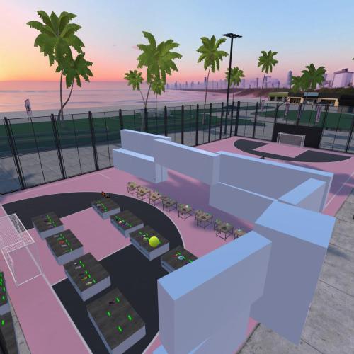 Arena Image