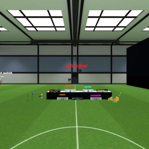 Arena Image
