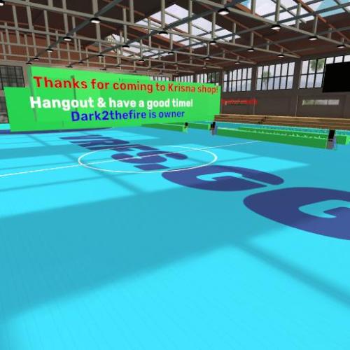 Arena Image