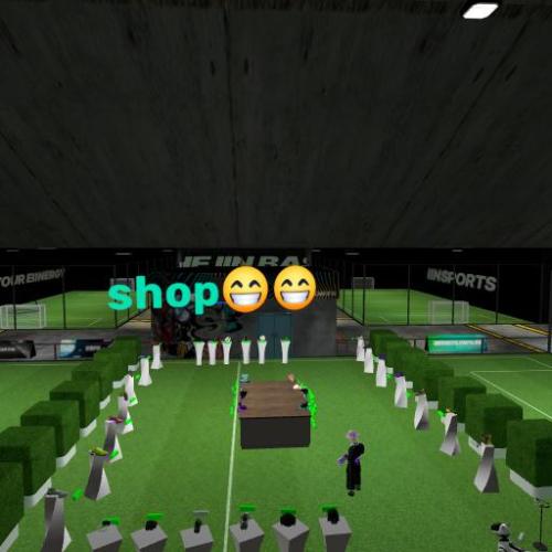 Arena Image