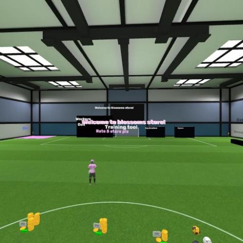 Arena Image