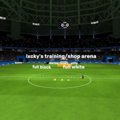 Arena Image