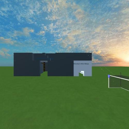Arena Image