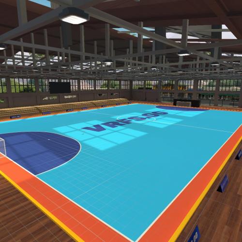 Arena Image