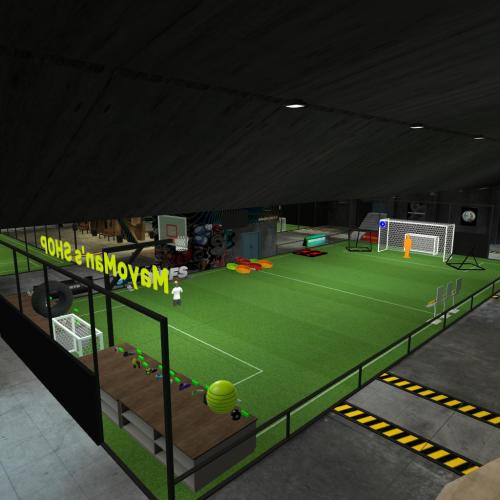 Arena Image