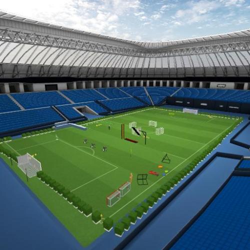 Arena Image