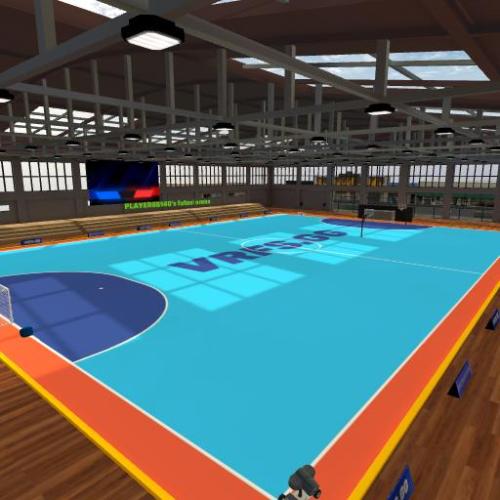 Arena Image