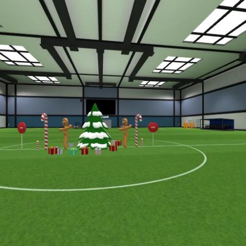 Arena Image