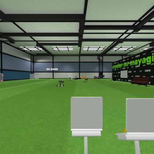 Arena Image