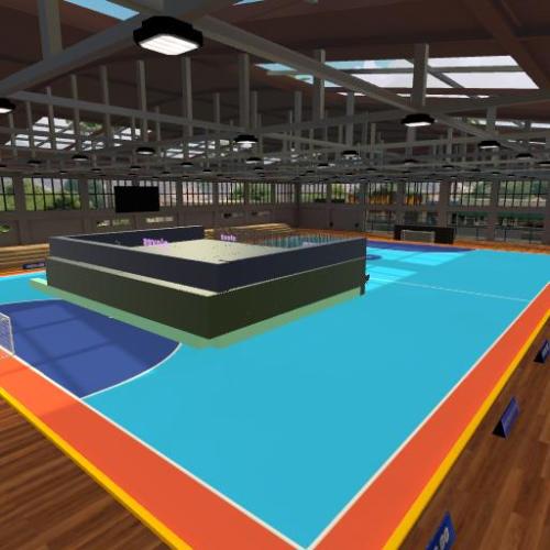Arena Image
