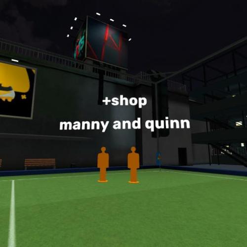 Arena Image
