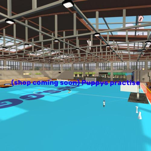 Arena Image