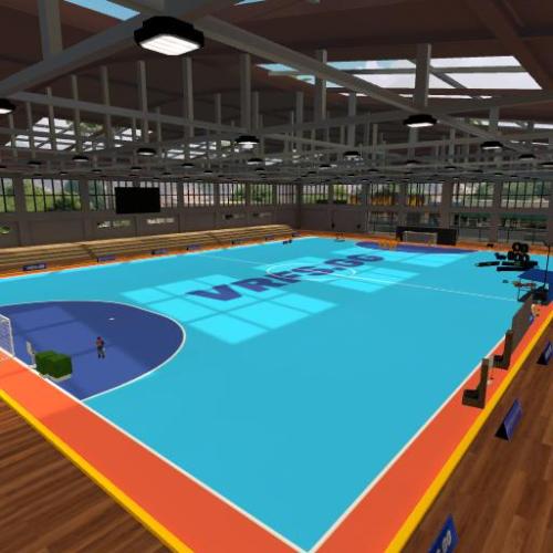 Arena Image