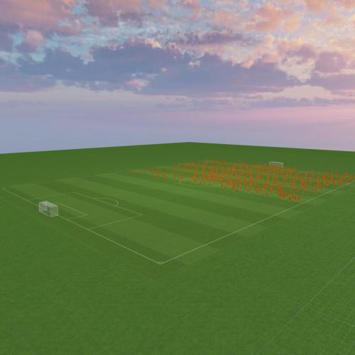 Arena Image