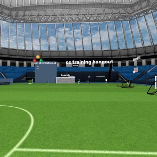 Arena Image