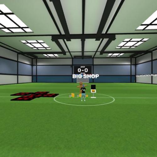 Arena Image