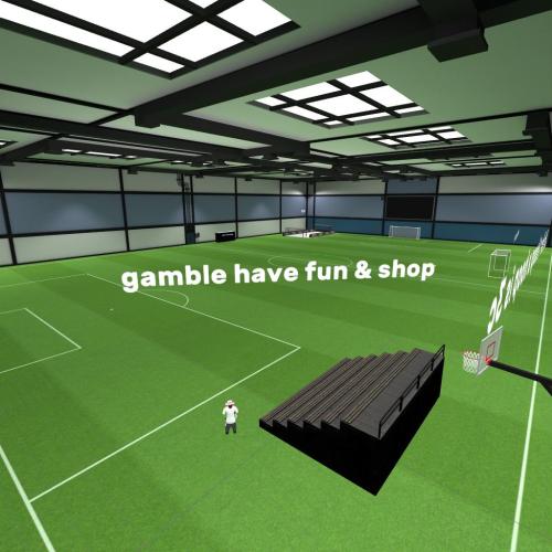 Arena Image