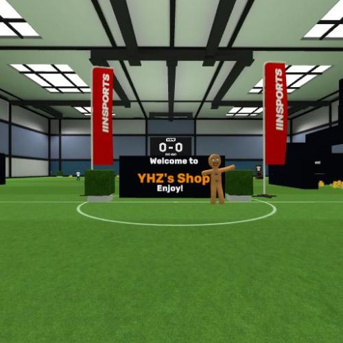 Arena Image