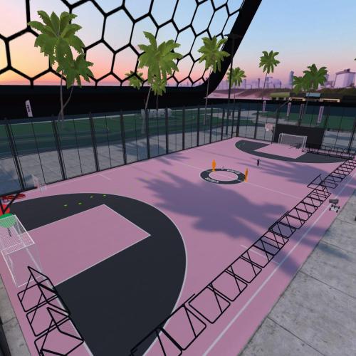 Arena Image