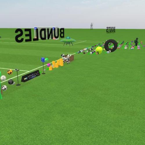 Arena Image