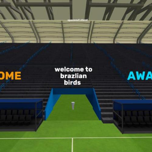 Arena Image