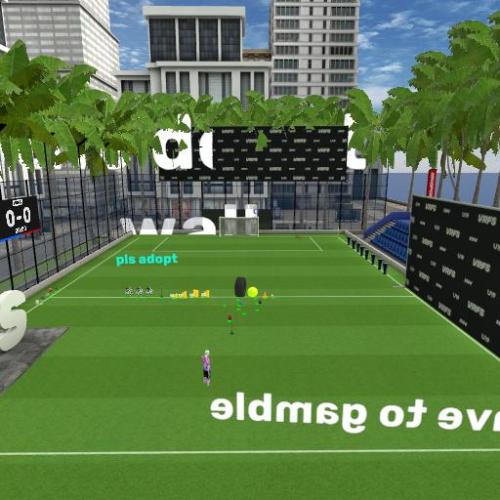 Arena Image