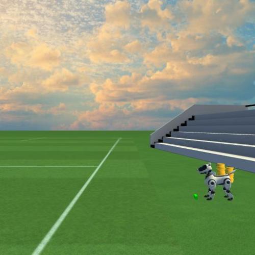 Arena Image