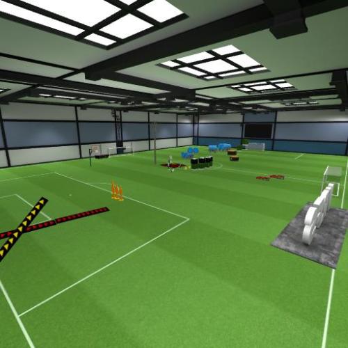 Arena Image