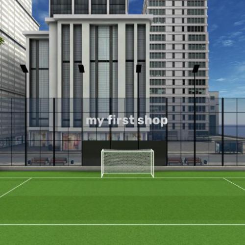 Arena Image